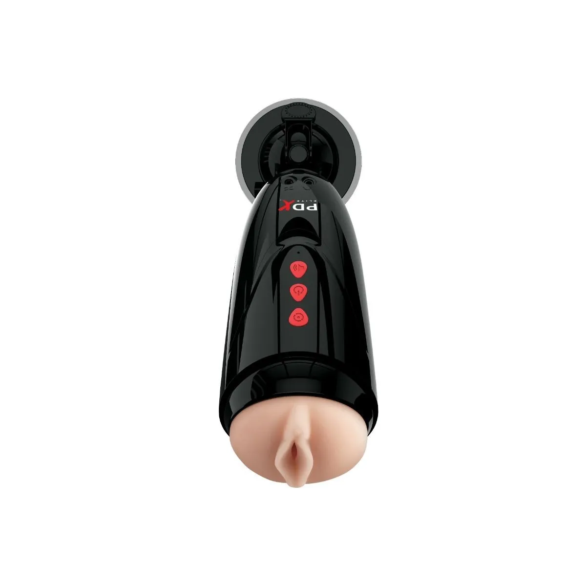 Dirty Talk Starter Stroker von Pdx Elite | Fesselliebe.de