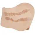 Realistischer Vagina- und Anus-Mila-Vibrator von Crazy Bull