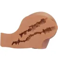 Kylie Ass Vibrator mit Realistischer Vagina- und Anus-Fernbedienung von Crazy Bull