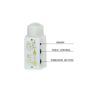 Mr Grosser Realistischer Penis und Anusmasturbator von Baile For Him