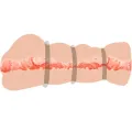 Vagina Masturbator mit Ringen von Crazy Bull
