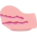 Hot Honey Rider Masturbator mit Vibrator von Act