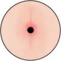 Randy Doppel-Loch-Masturbator - Vagina und Anus von Jamyjob