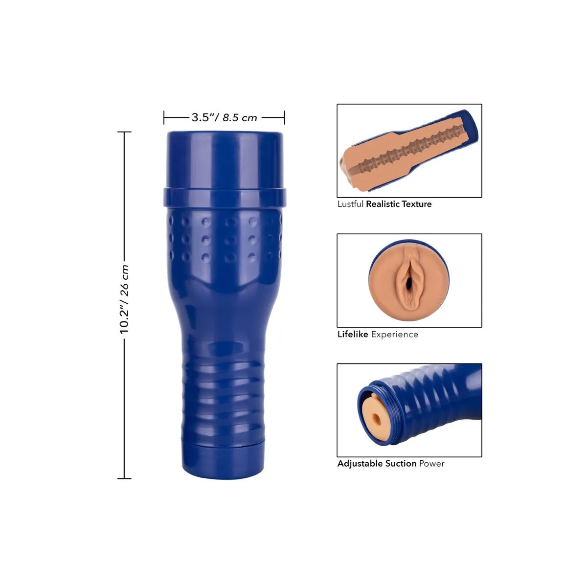 Alexa Tomas Superstar Pussy Masturbator von Private | Fesselliebe.de