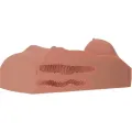 Weiblicher Masturbator Torso Doppelter Eintritt Candy von Pdx Plus+