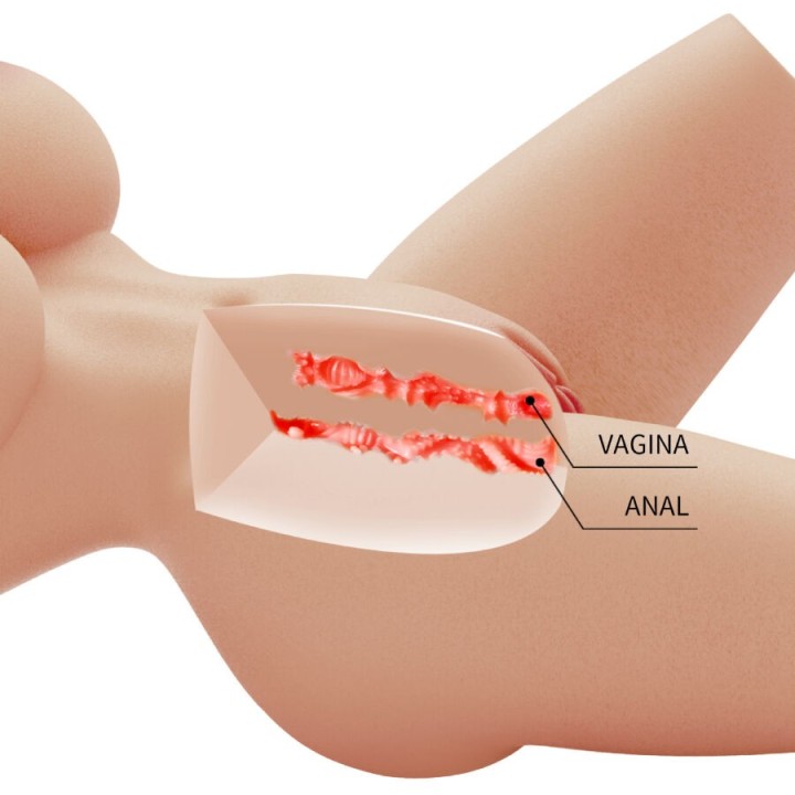 Lily Realistischer weiblicher Torso Vagina und Anal 4 Kg von Crazy Bull | Fesselliebe.de