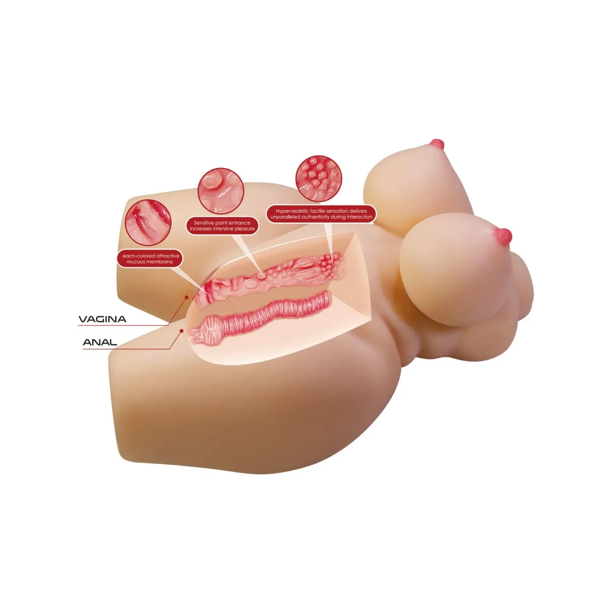 Grace Realistischer weiblicher Torso Vagina und Anal 7,5 Kg von Crazy Bull | Fesselliebe.de