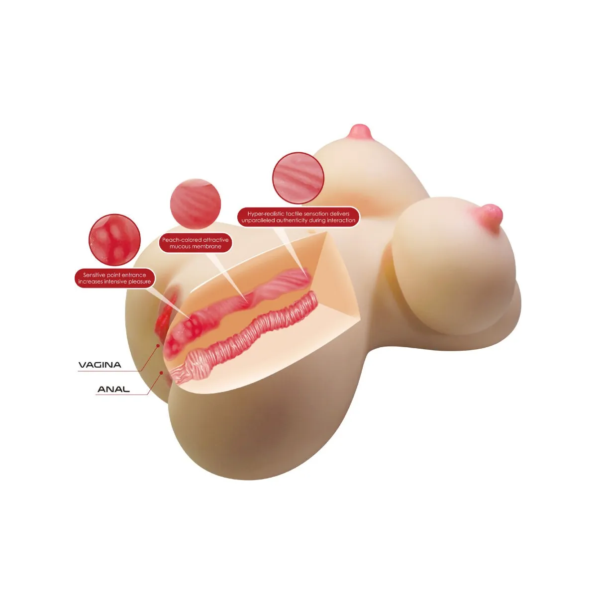 Fiona Realistischer weiblicher Torso Vagina und Anal 7,1 Kg von Crazy Bull | Fesselliebe.de