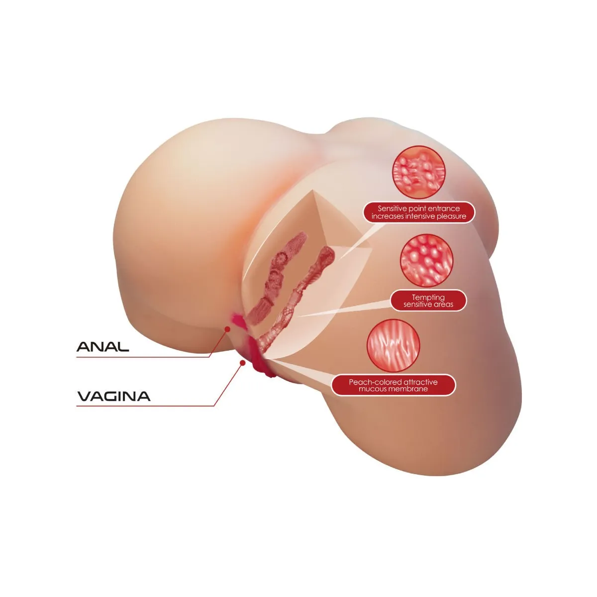 Olivia Realistischer weiblicher Po, Vagina und Anal, 5,5 Kg von Crazy Bull | Fesselliebe.de