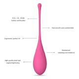 Kegel Fit Pelvic Muscle Training Set 6 Stücke von Leslie | Fesselliebe.de