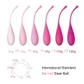 Kegel Fit Pelvic Muscle Training Set 6 Stücke von Leslie