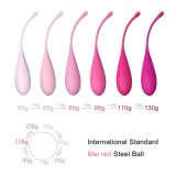 Kegel Fit Pelvic Muscle Training Set 6 Stücke von Leslie | Fesselliebe.de