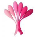 Kegel Fit Pelvic Muscle Training Set 6 Stücke von Leslie
