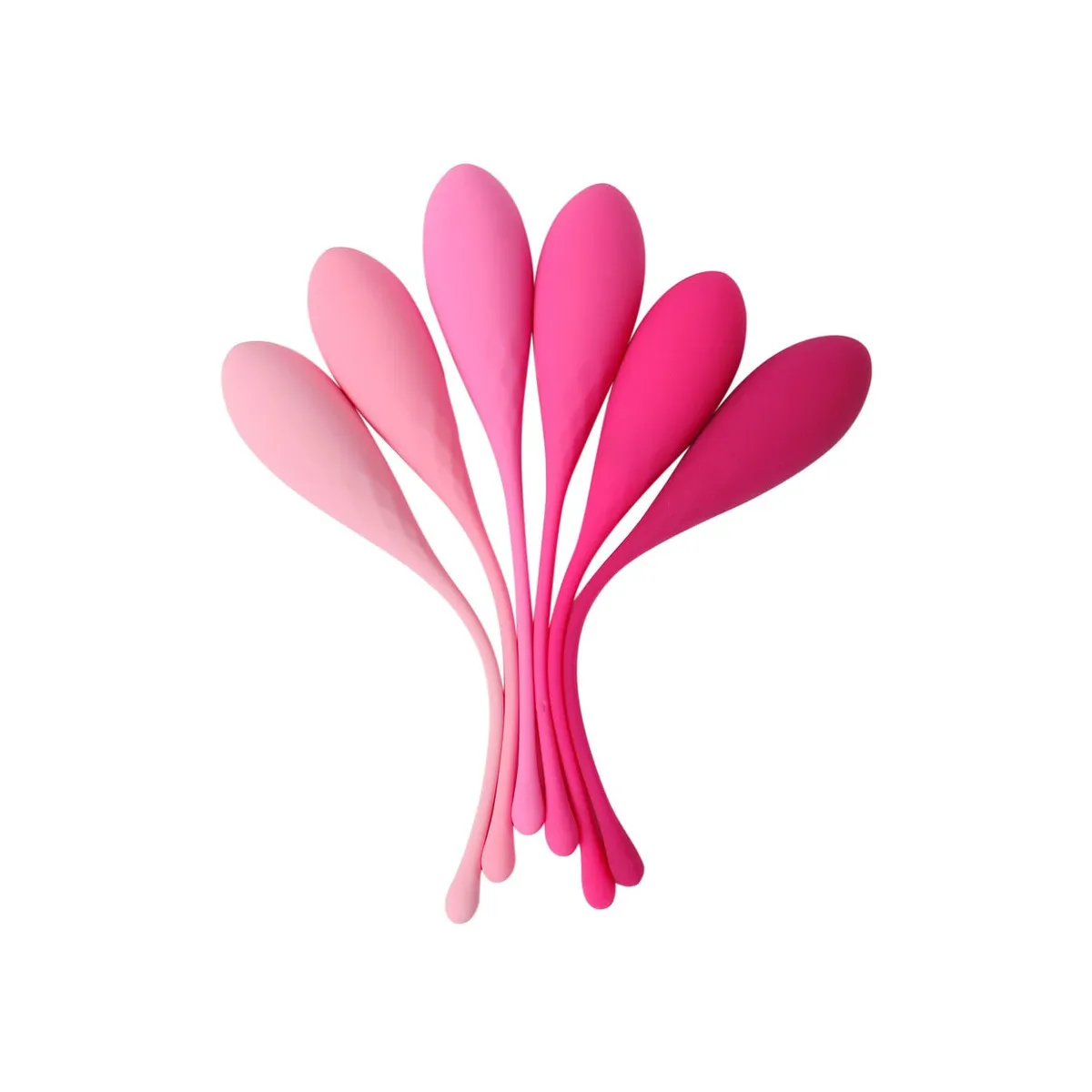 Kegel Fit Pelvic Muscle Training Set 6 Stücke von Leslie | Fesselliebe.de