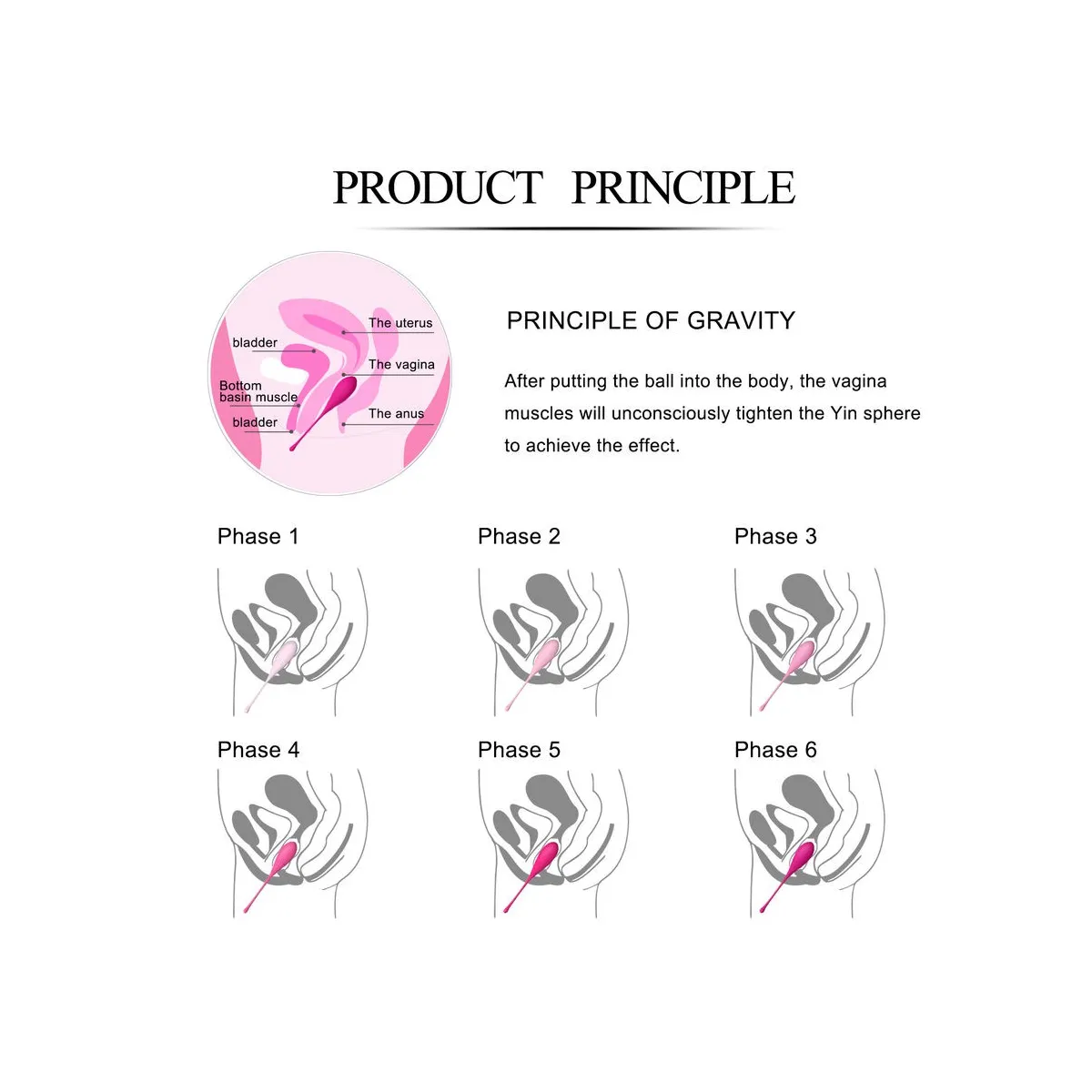 Kegel Fit Pelvic Muscle Training Set 6 Stücke von Leslie | Fesselliebe.de