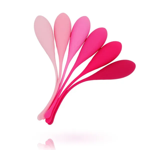 Kegel Fit Pelvic Muscle Training Set 6 Stücke von Leslie | Fesselliebe.de