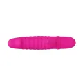 Flirtation Arnd Vibrator von Pretty Love Flirtation