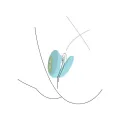 Couples Foreplay Enhancer Mint von Xocoon