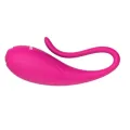 Coco Vibrator-Klemmen von Nalone