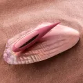 Dot Travel Klitoris-Stimulator Lila von Lelo