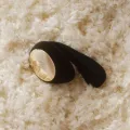 Ida Wave Couples Massager Schwarz von Lelo