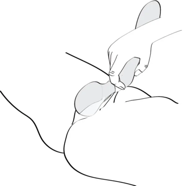 Zoa Intimmassager Schwarz von Shunga Toys | Fesselliebe.de