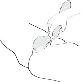Zoa Intimmassager Fuchsia von Shunga Toys | Fesselliebe.de
