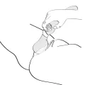 Zoa Intimmassager Fuchsia von Shunga Toys