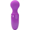Lila Mini-Persönliches Massager von Pretty Love
