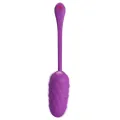 Vibrierendes Ei mit Lila wiederaufladbarer Meerestextur von Pretty Love Smart