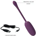Casper Lila wiederaufladbares Vibrierendes Ei von Pretty Love Smart