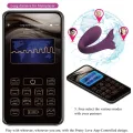 Jayleen Vibrator mit App-Fernbedienung Lila von Pretty Love Led