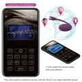 Catalina Vibrator App mit Fernbedienung Lila von Pretty Love Led