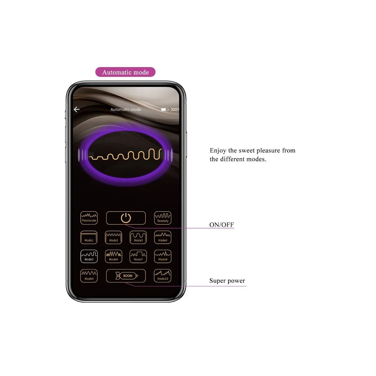 Elvira Kegel Balls App mit Fernbedienung Lila von Pretty Love | Fesselliebe.de