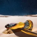 Phoenix Dildo die Wiederauferweckung der Vergnügung wiederaufladbare mit Fernbedienung von Epic