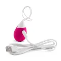 Jan Egg Vibrator mit Fernbedienung Rosa von Intense Couples Toys