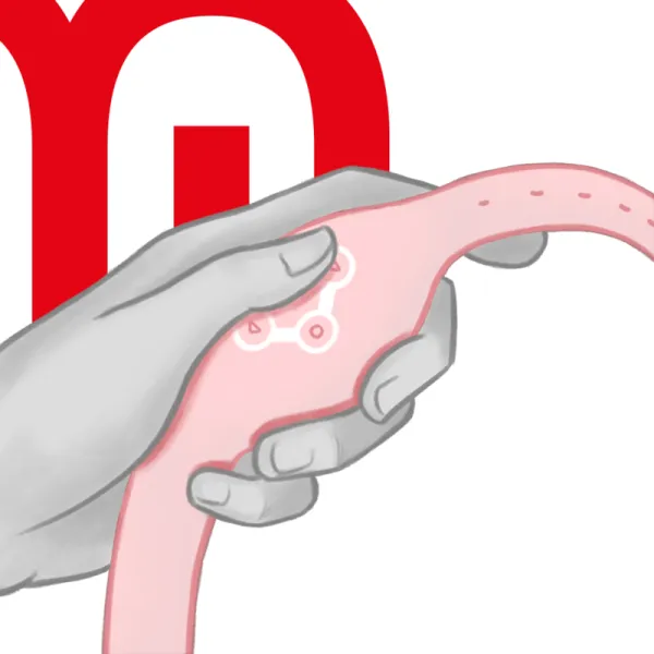 Wireless-Technologie-Uhr Zartes Rosa von Watchme | Fesselliebe.de