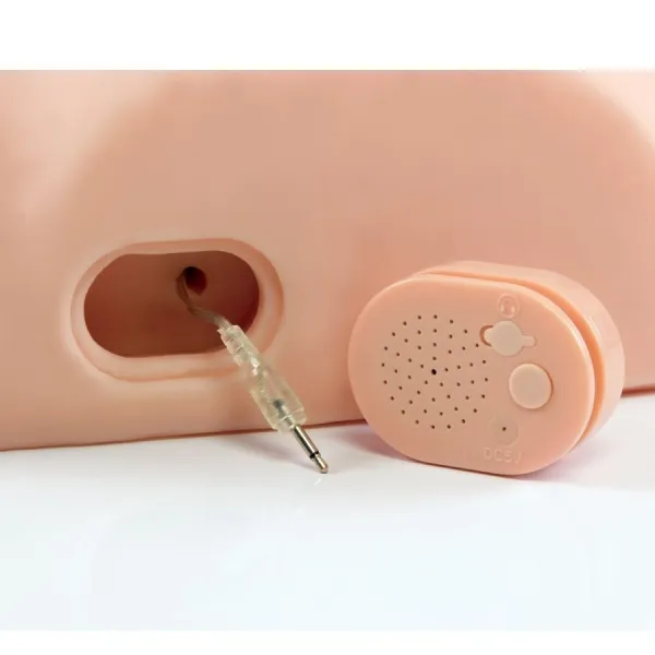 Pdx Male – männlicher Interaktiver Fick Ihn Alum von Pdx Male | Fesselliebe.de