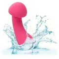 Pixies Exciter Rosa von Calexotics