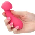 Pixies Exciter Rosa von Calexotics