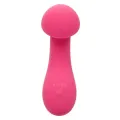 Pixies Exciter Rosa von Calexotics