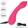 Pixies Teaser Rosa von Calexotics