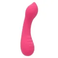 Pixies Teaser Rosa von Calexotics