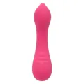 Pixies Teaser Rosa von Calexotics