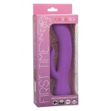 First Time Vibrator Pleaser wiederaufladbar Lila von Calexotics | Fesselliebe.de