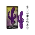 Long Beach Bootylicious Lila von Calexotics