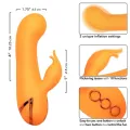Montecito Muse Vibrator Rabbit Orange von California Dreaming von Calexotics