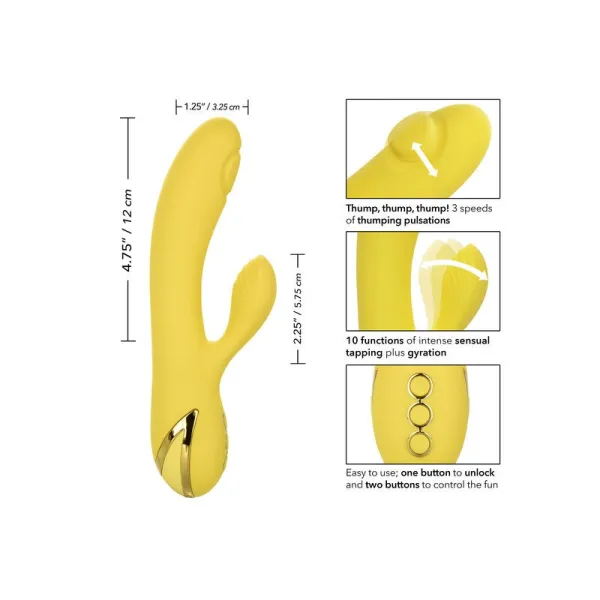 San Diego Verführung von Calexotics | Fesselliebe.de