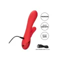 Palisades Passion Rot von Calexotics