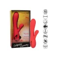 Palisades Passion Rot von Calexotics